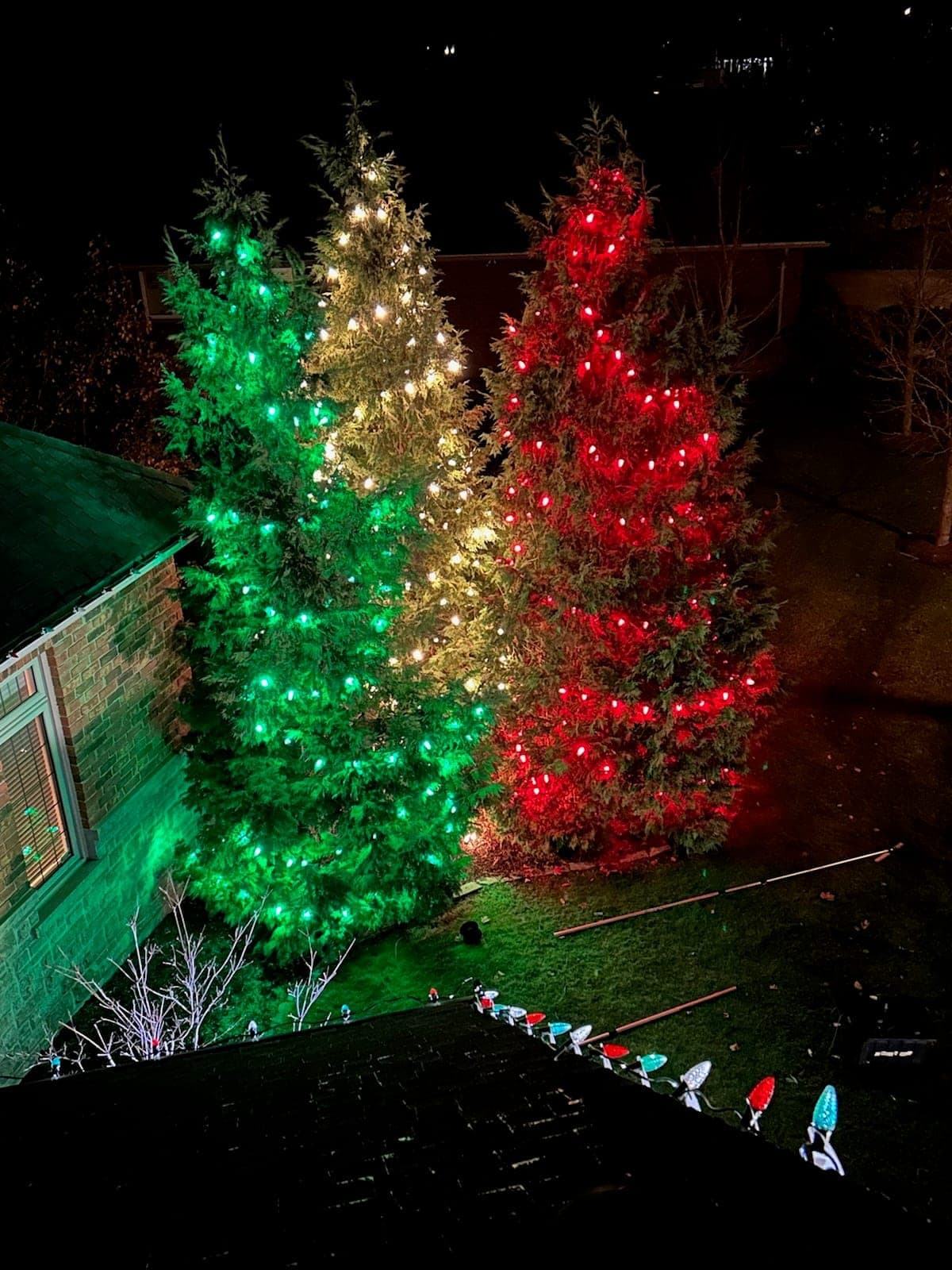 Ontario Light Shows — 2026 Service Excellence Award winner
